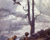 温斯洛 荷默 : Osprey's Nest